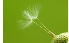 small13.jpg
